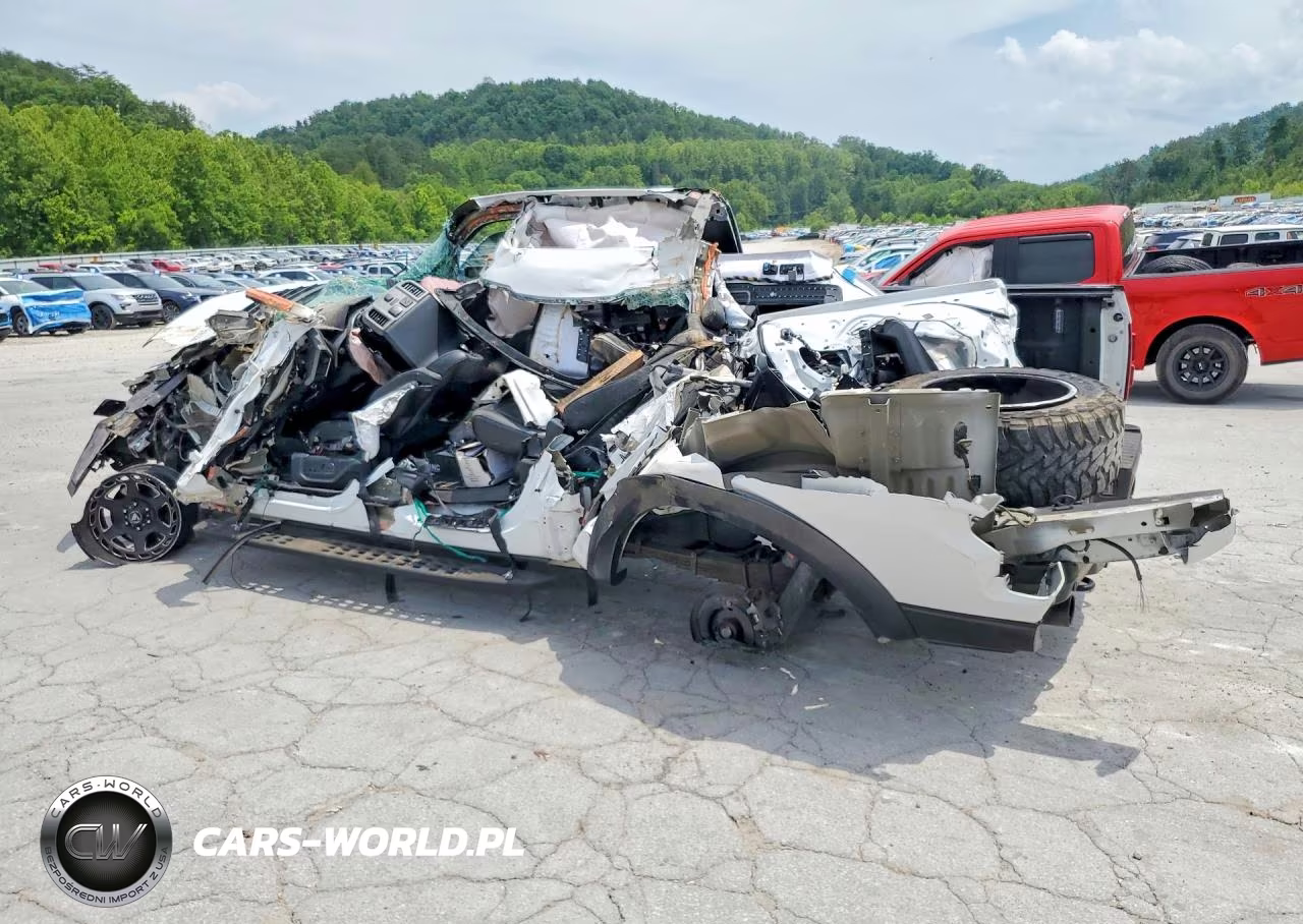2019 Ford F150 Raptor VIN:1FTFW1RG8KFC42615 - 2
