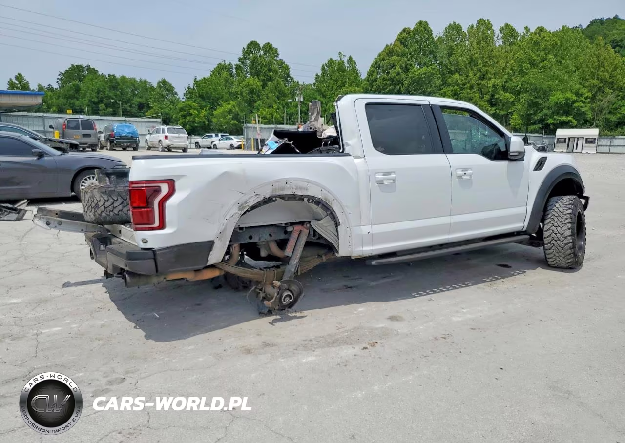 2019 Ford F150 Raptor VIN:1FTFW1RG8KFC42615 - 3