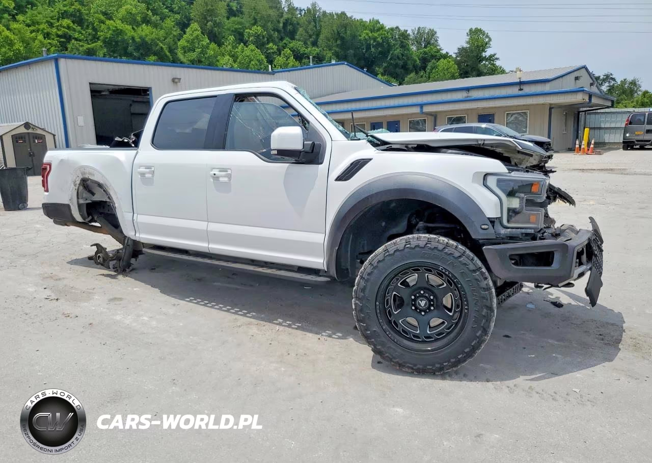 2019 Ford F150 Raptor VIN:1FTFW1RG8KFC42615 - 4