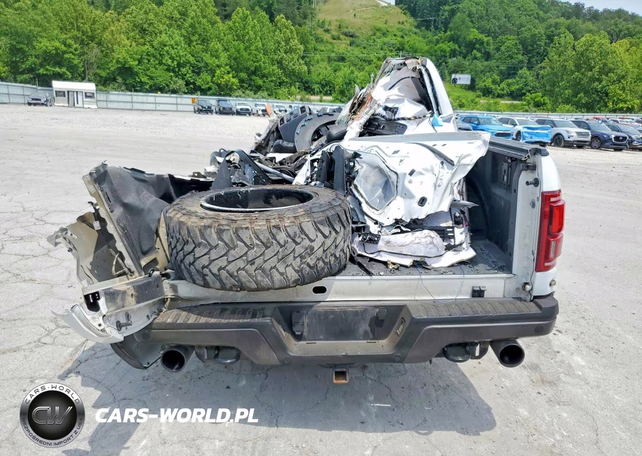 2019 Ford F150 Raptor VIN:1FTFW1RG8KFC42615 - 6