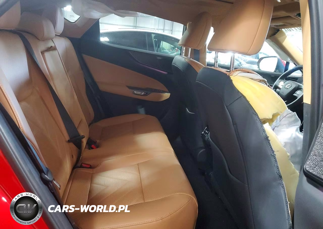 2024 Lexus Nx 350 Luxury VIN:2T2HGCEZ5RC055209 - 10
