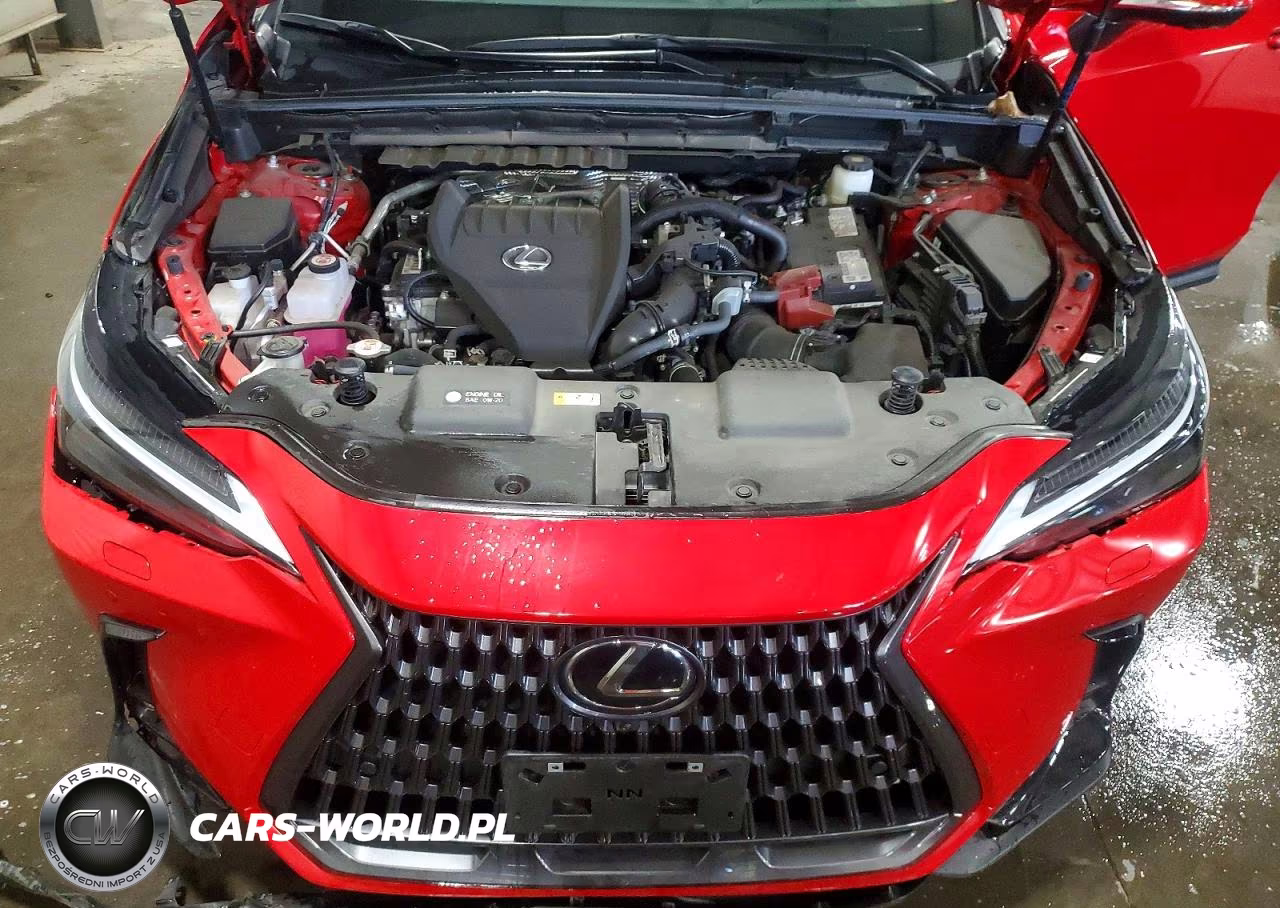 2024 Lexus Nx 350 Luxury VIN:2T2HGCEZ5RC055209 - 11