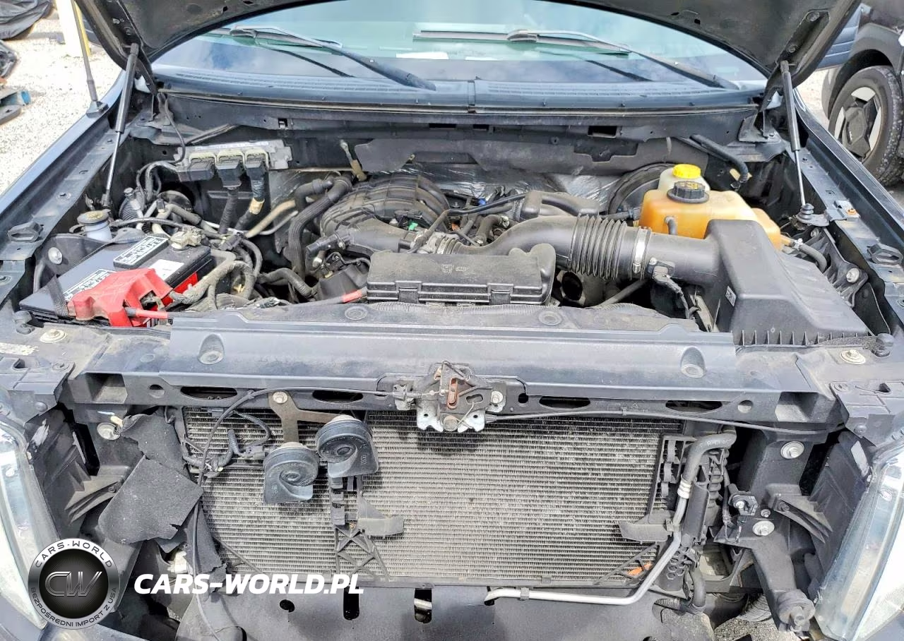 2014 Ford F150 Supercrew VIN:1FTEW1CM0EFB03240 - 11