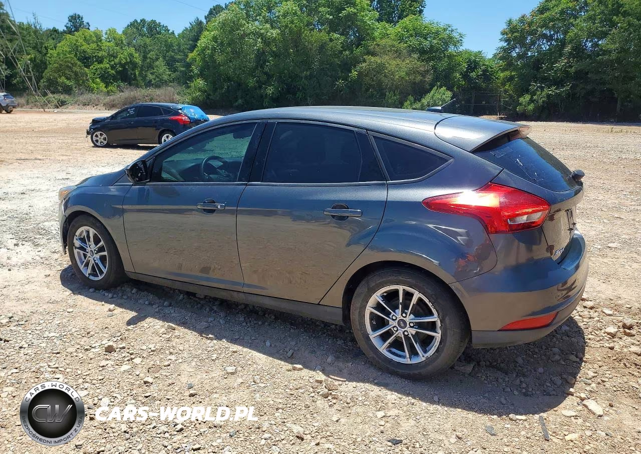2018 Ford Focus Se VIN:1FADP3K21JL282846 - 2