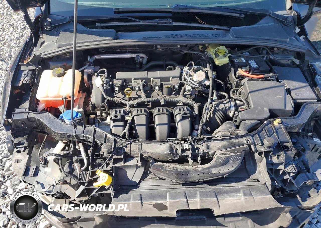 2018 Ford Focus Se VIN:1FADP3K2XJL256567 - 11