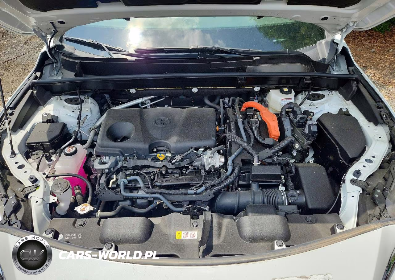 2024 Toyota Venza Xle VIN:JTEAAAAH7RJ152856 - 11