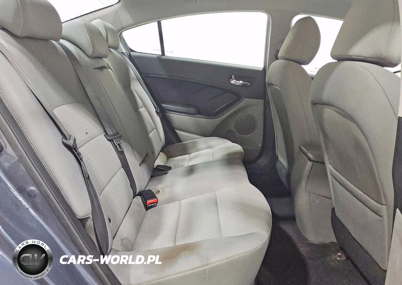 2016 Kia Forte Lx VIN:KNAFX4A63G5553042 - 10