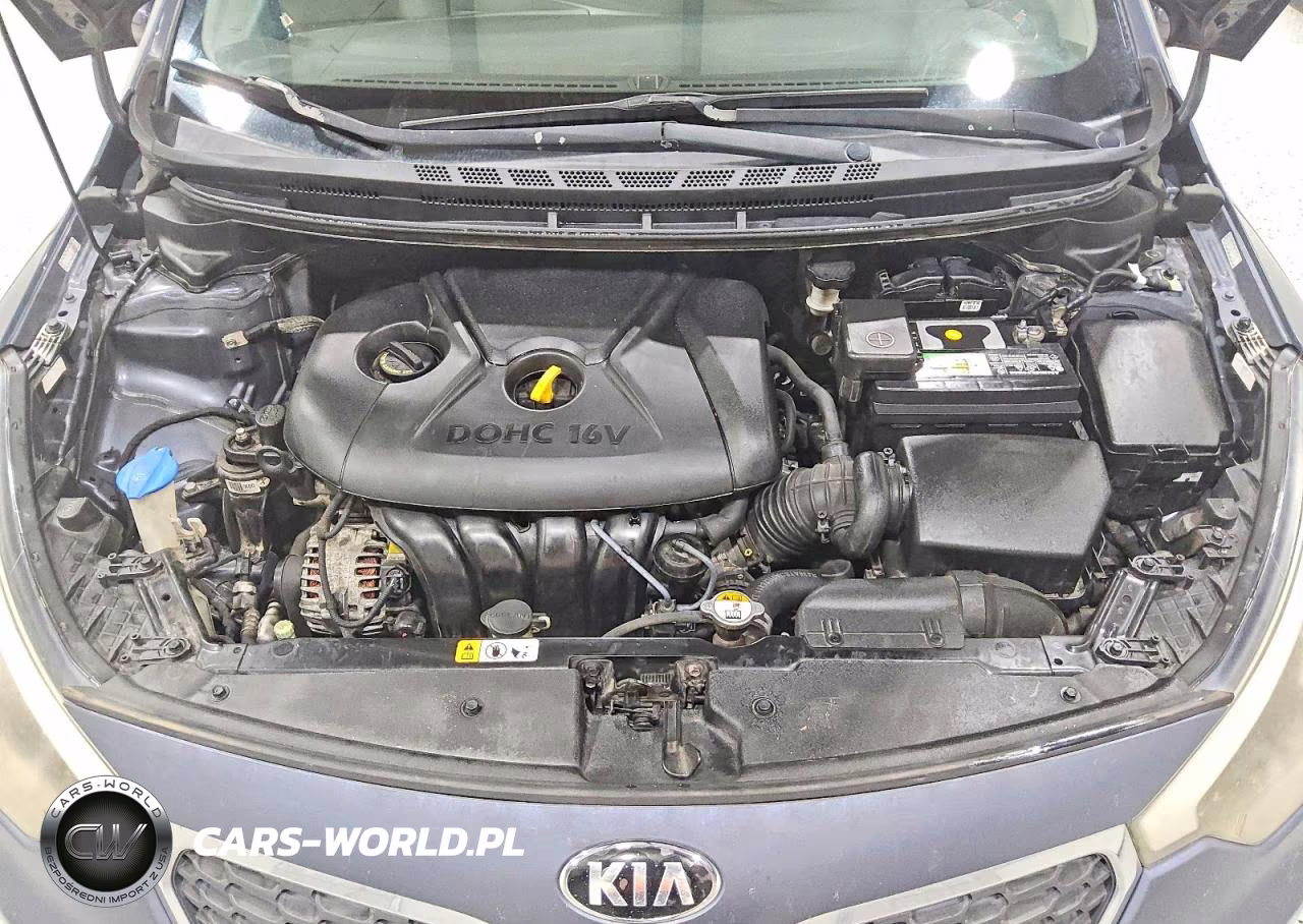 2016 Kia Forte Lx VIN:KNAFX4A63G5553042 - 11