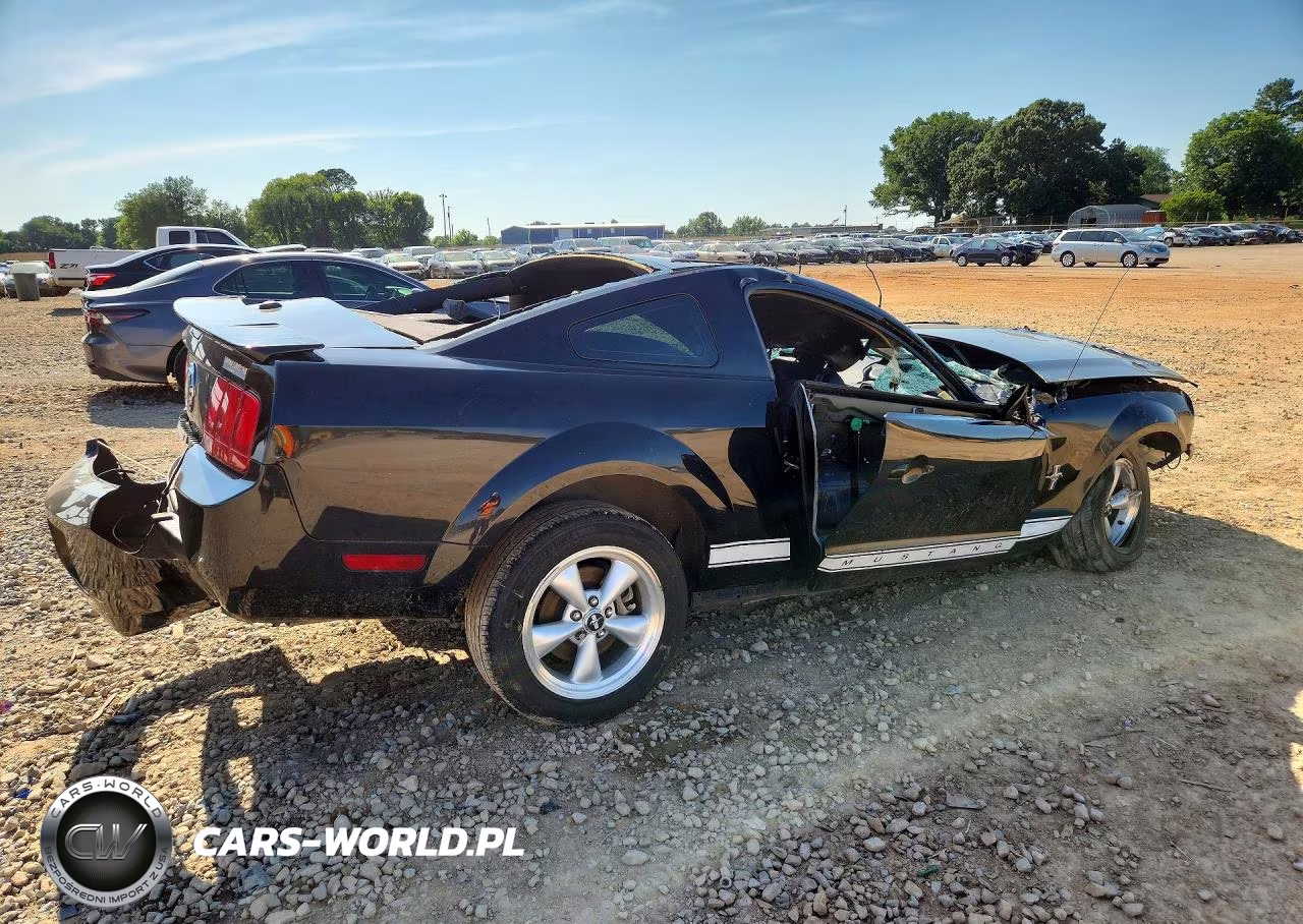 2007 Ford Mustang VIN:1ZVHT80N775303310 - 3