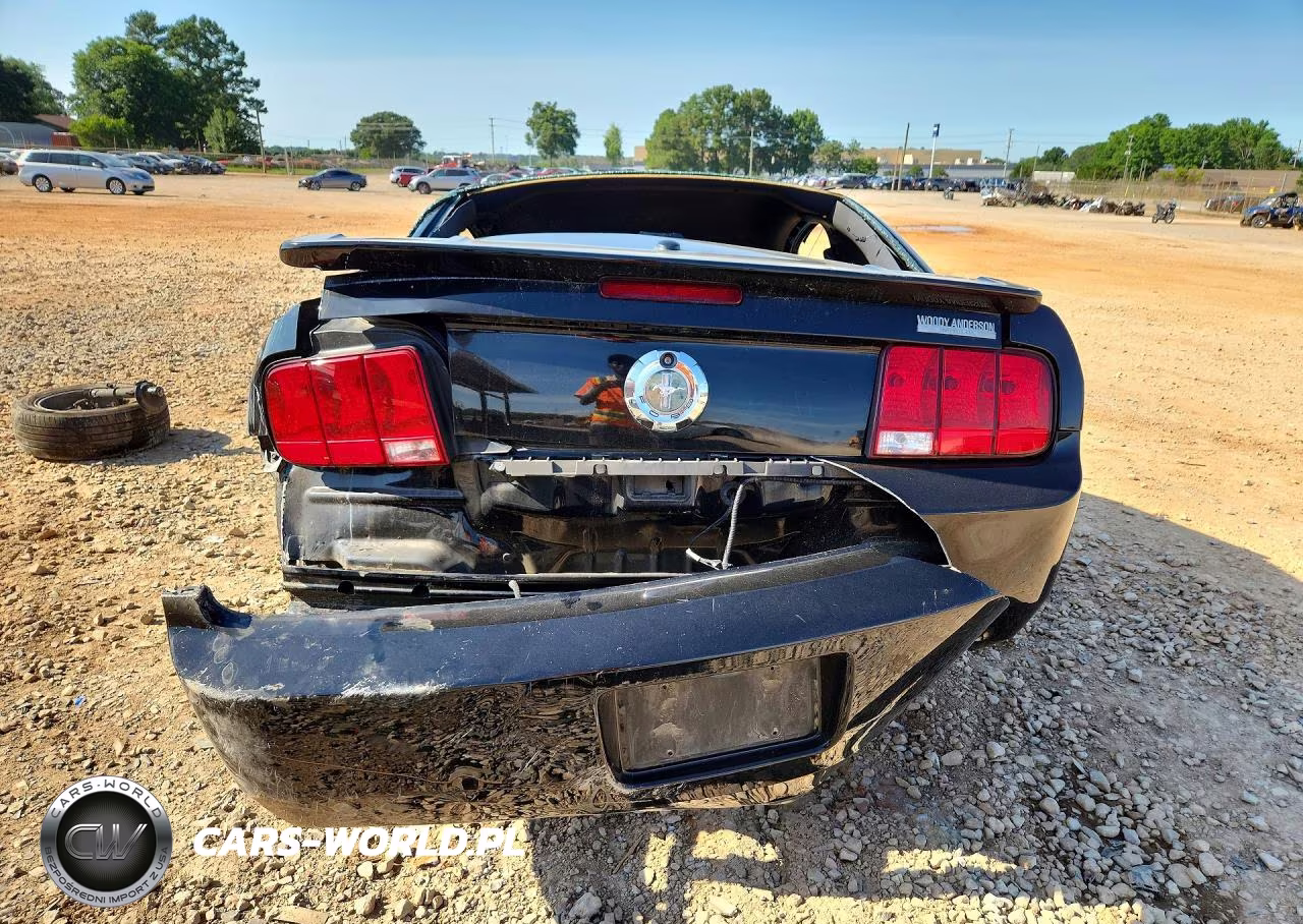 2007 Ford Mustang VIN:1ZVHT80N775303310 - 6