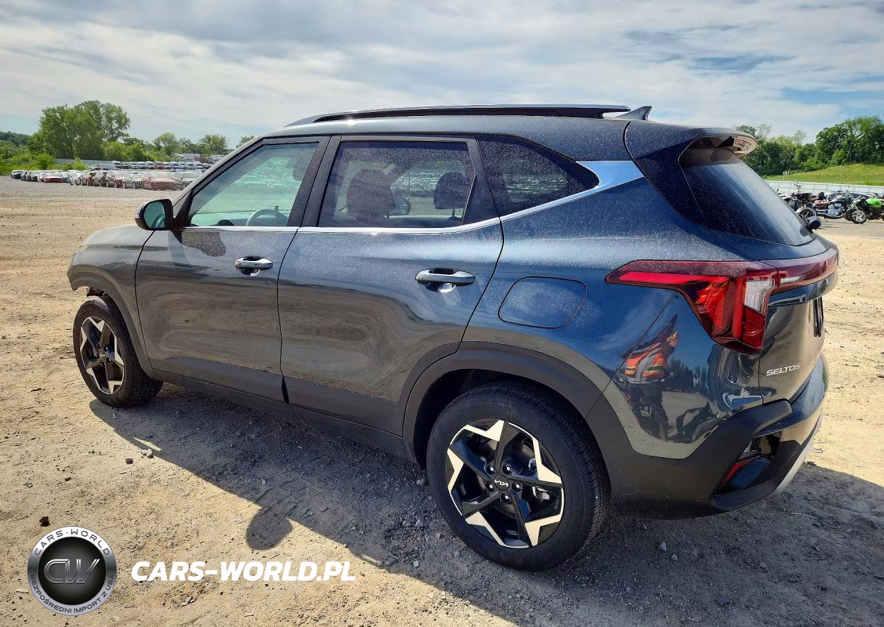 2024 Kia Seltos Ex VIN:KNDERCAA2R7625430 - 2