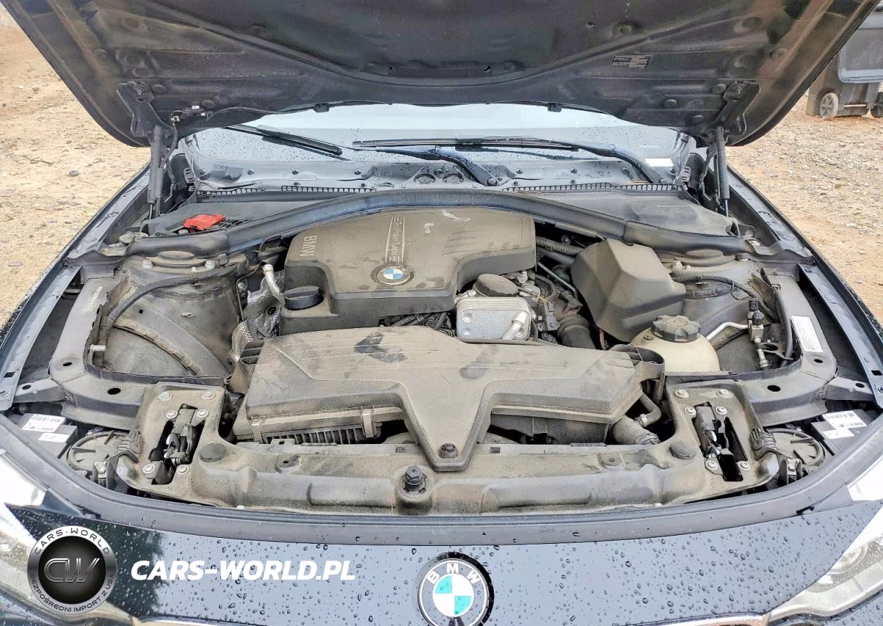 2014 BMW 428 I VIN:WBA3N3C5XEF710872 - 11