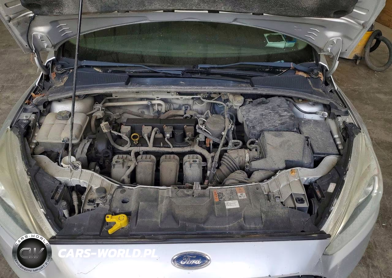 2015 Ford Focus Se VIN:1FADP3F27FL353033 - 11
