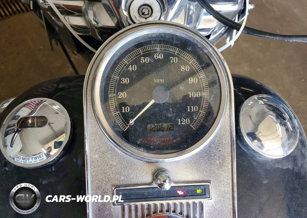 2001 Harley Davidson Flhrci Anniversary VIN:1HD1FRW1X1Y654111 - 7