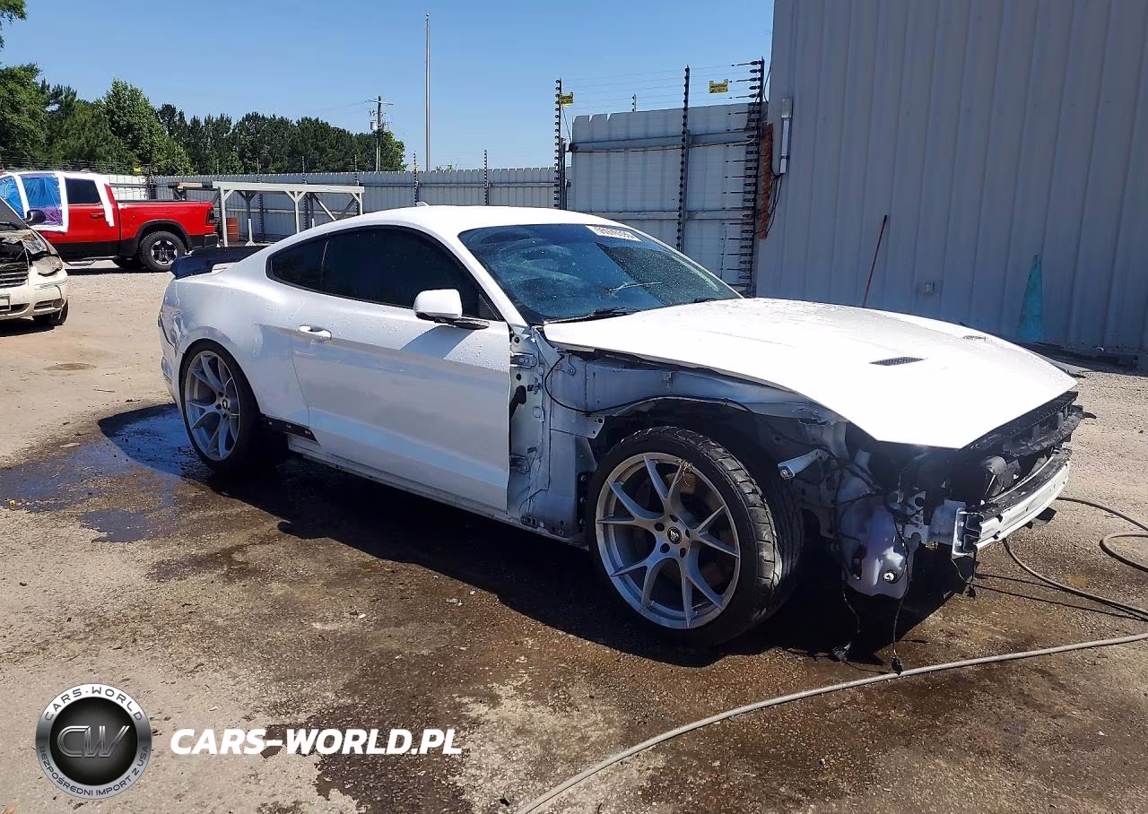 2020 Ford Mustang Gt VIN:1FA6P8CF1L5170675 - 4