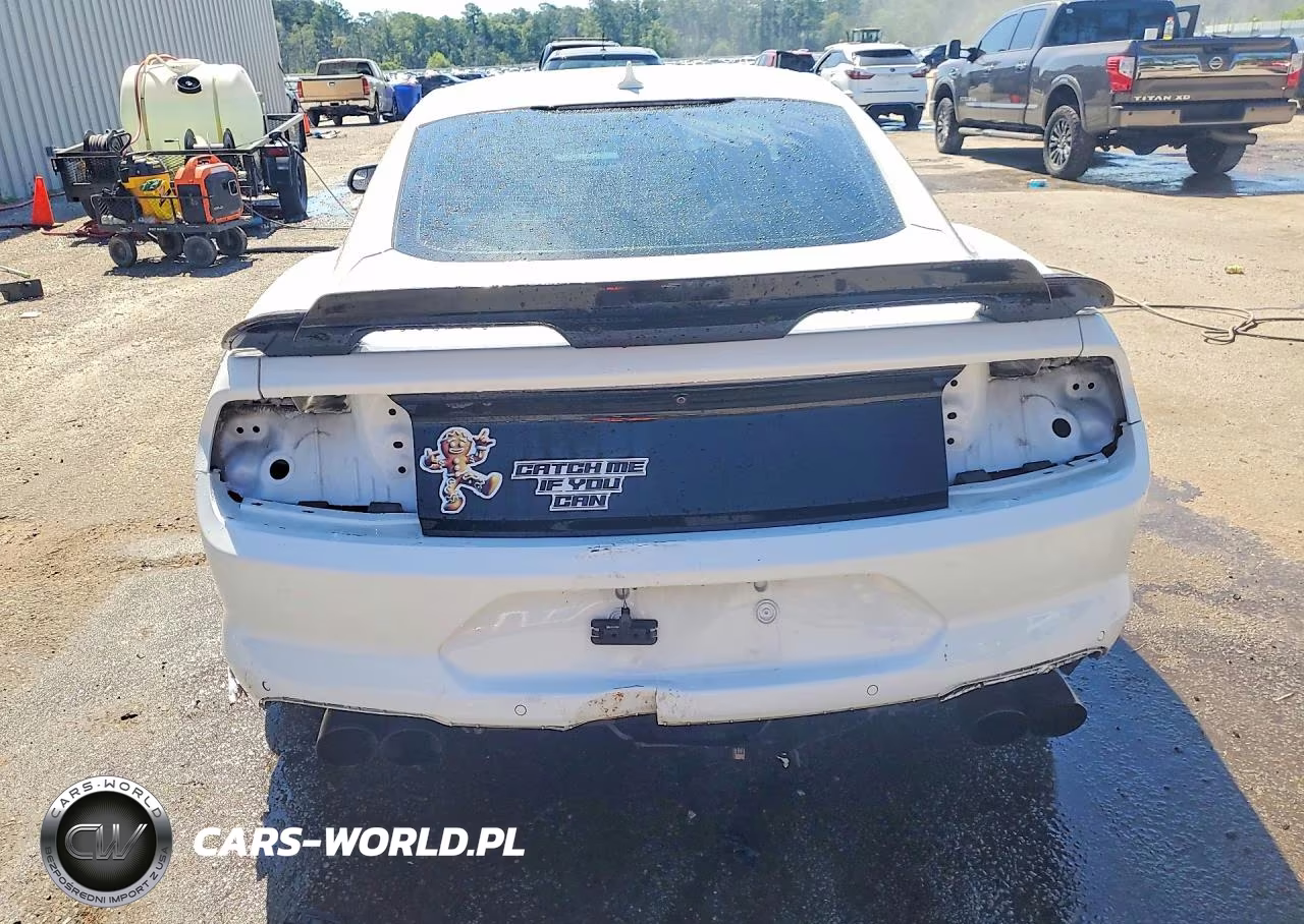 2020 Ford Mustang Gt VIN:1FA6P8CF1L5170675 - 6