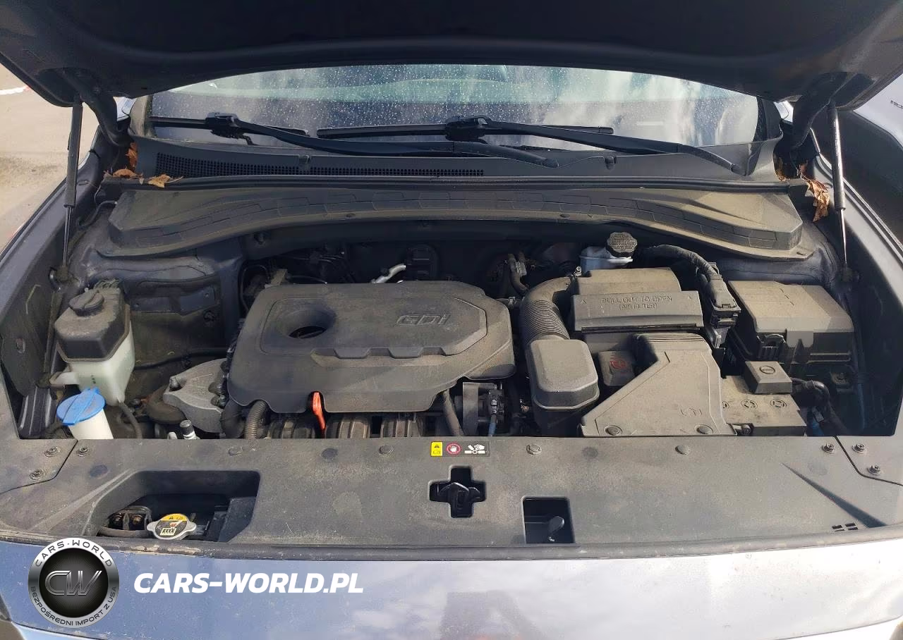 2019 Hyundai Santa Fe Se VIN:5NMS2CAD9KH039128 - 12