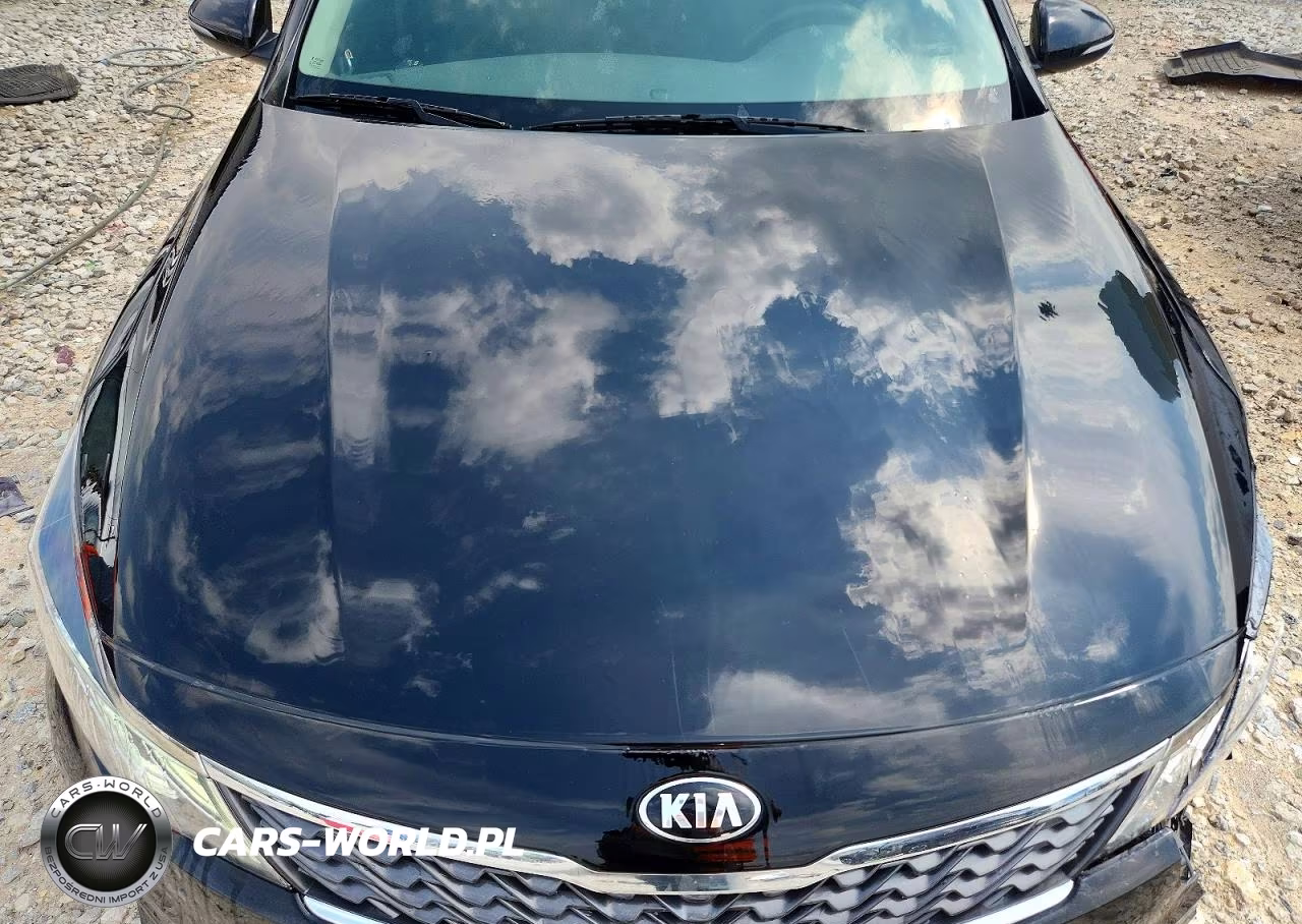 2019 Kia Optima Lx VIN:5XXGT4L36KG307368 - 11