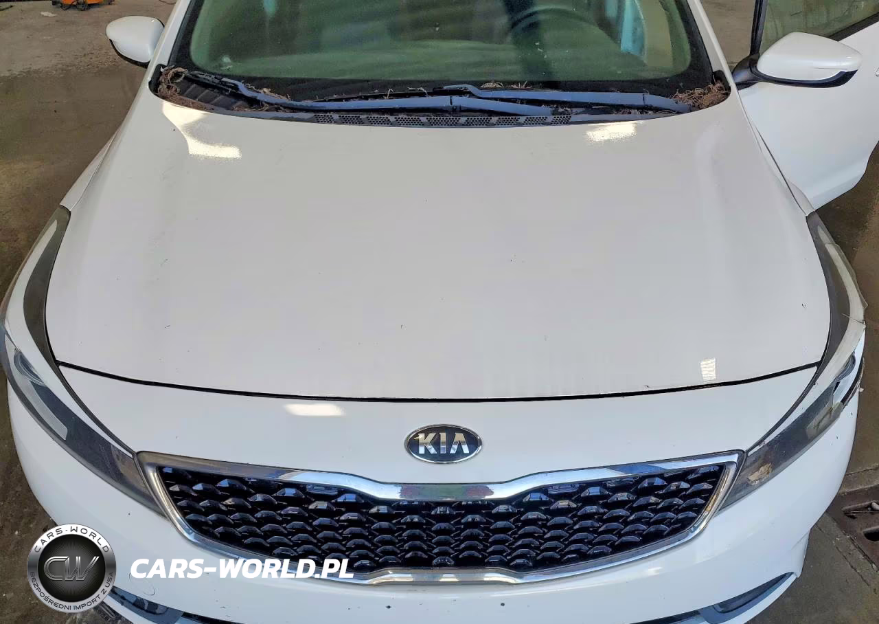 2017 Kia Forte Lx VIN:3KPFL4A7XHE100730 - 11