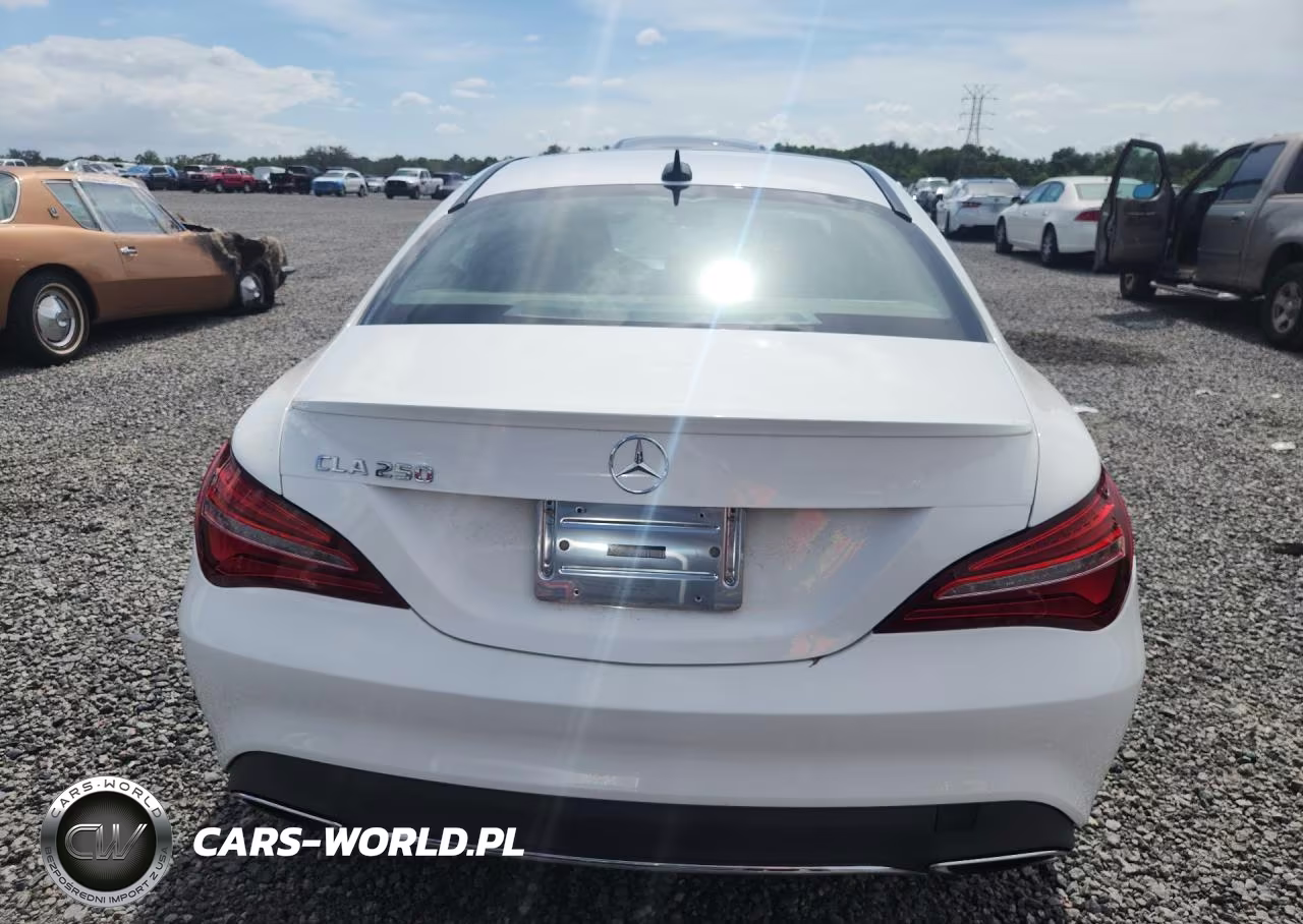 2019 Mercedes-Benz Cla 250 VIN:WDDSJ4EB7KN713898 - 6