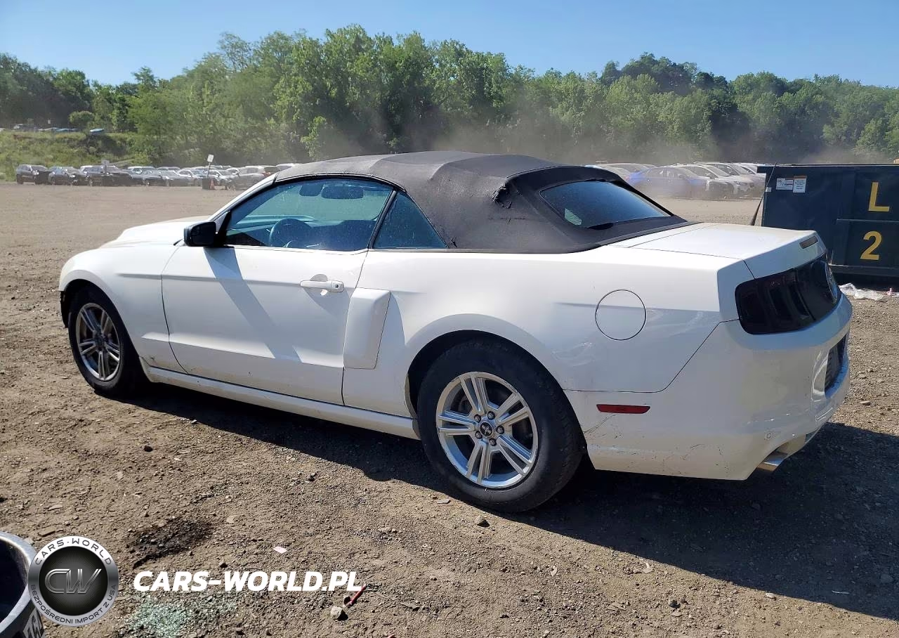 2013 Ford Mustang VIN:1ZVBP8EM8D5224413 - 2