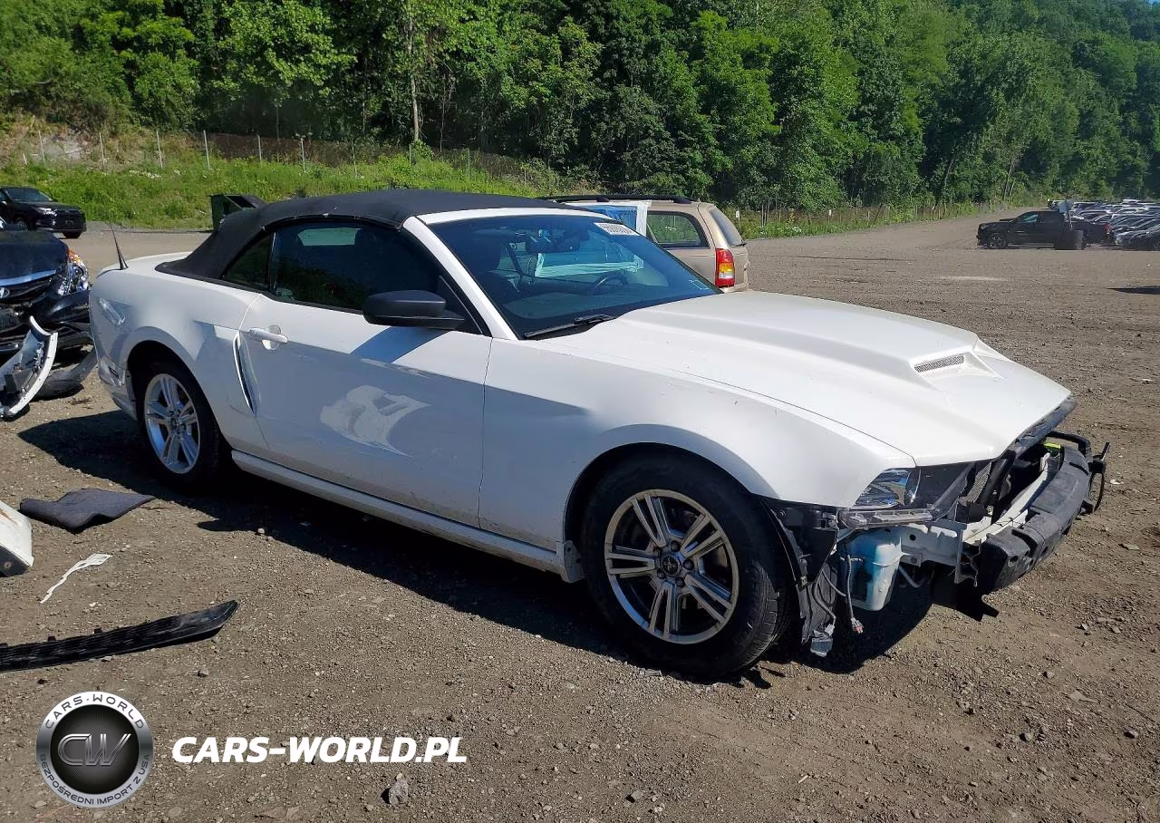 2013 Ford Mustang VIN:1ZVBP8EM8D5224413 - 4