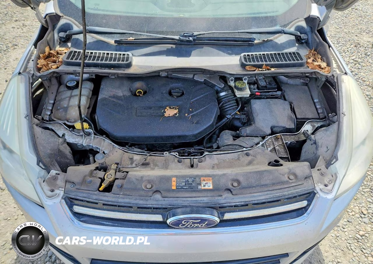 2013 Ford Escape Sel VIN:1FMCU9H92DUA10077 - 12