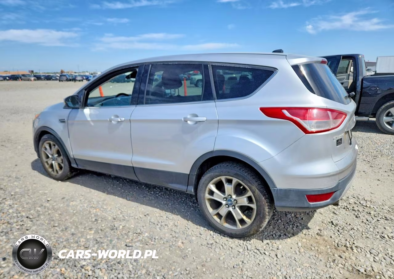 2013 Ford Escape Sel VIN:1FMCU9H92DUA10077 - 2