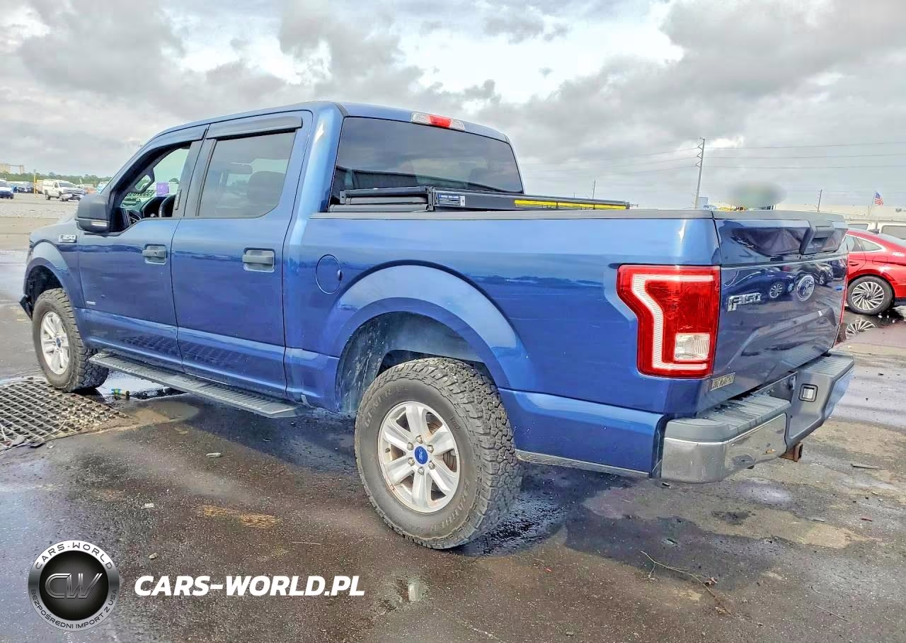 2016 Ford F150 Supercrew VIN:1FTEW1EP0GKF57845 - 2