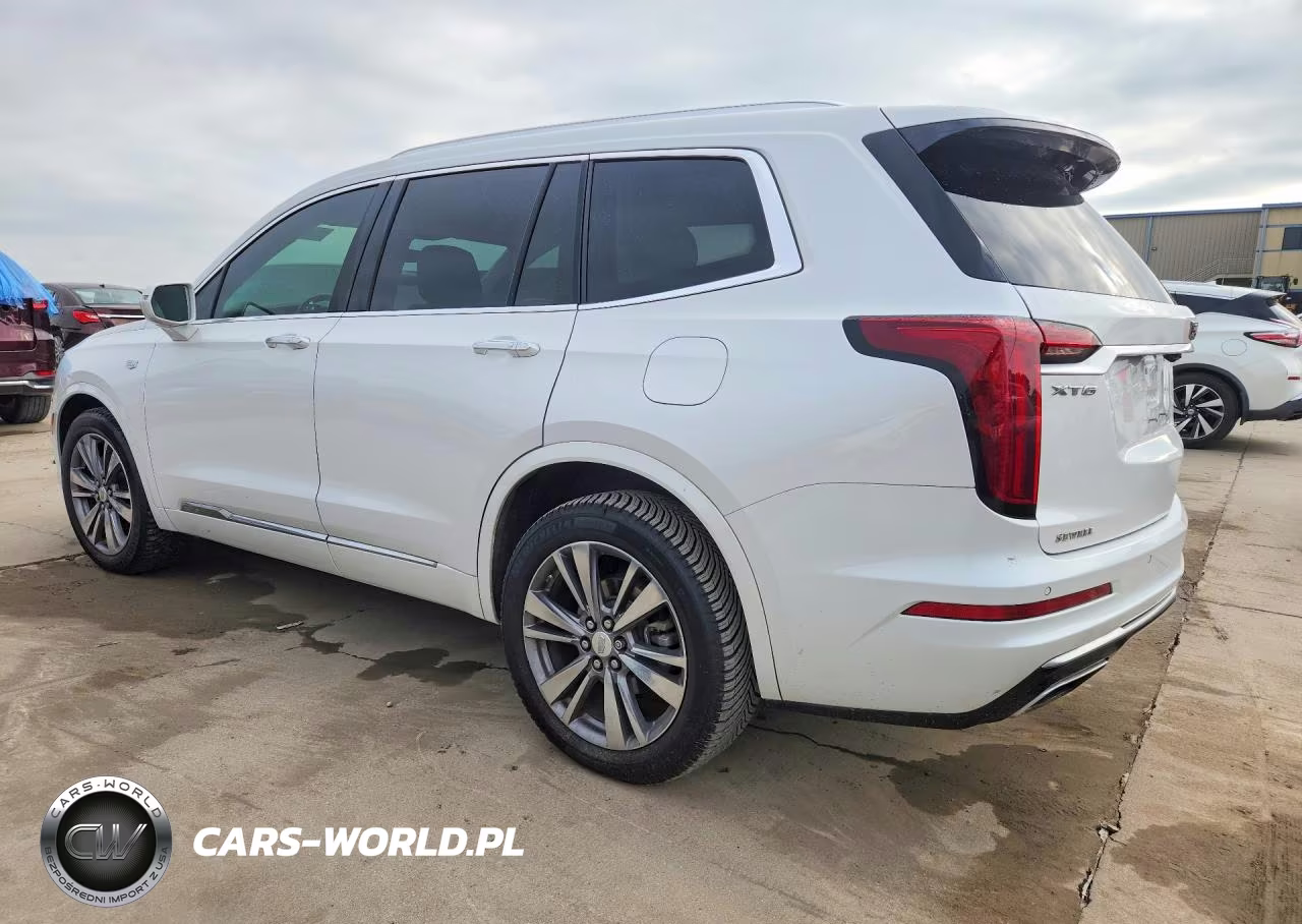 2020 Cadillac Xt6 Premium Luxury VIN:1GYKPCRS4LZ177316 - 2