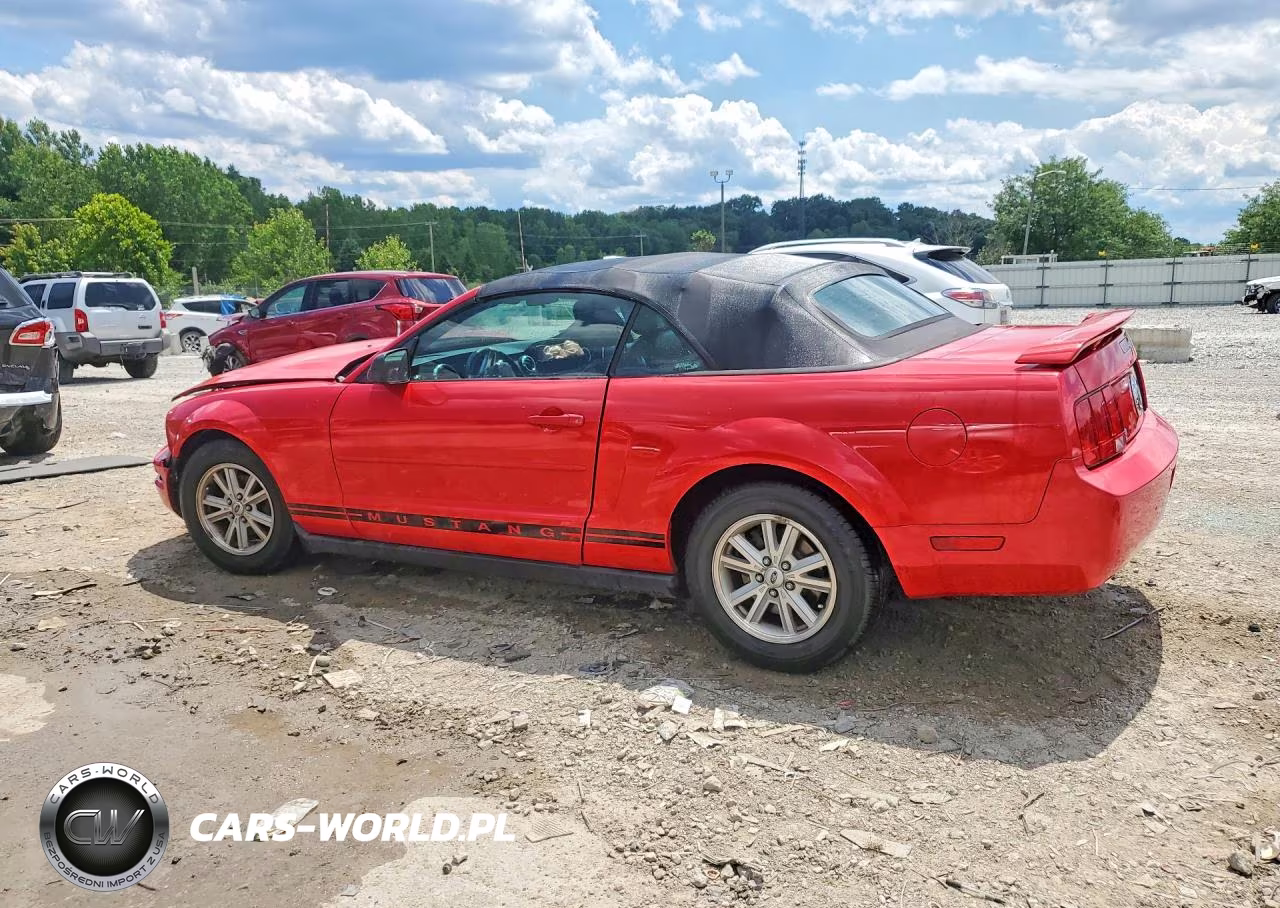 2006 Ford Mustang VIN:1ZVFT84N365224846 - 2