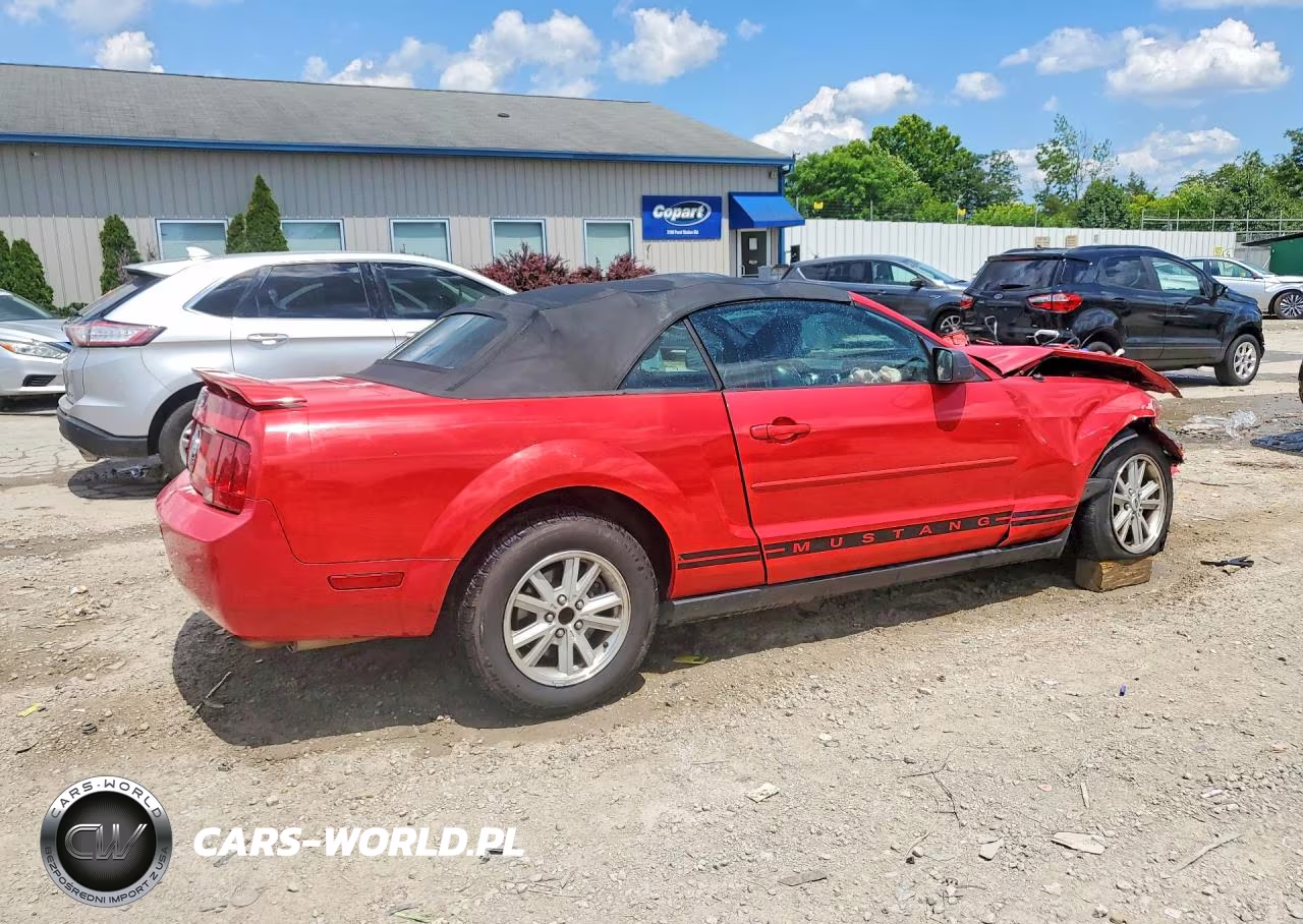 2006 Ford Mustang VIN:1ZVFT84N365224846 - 3