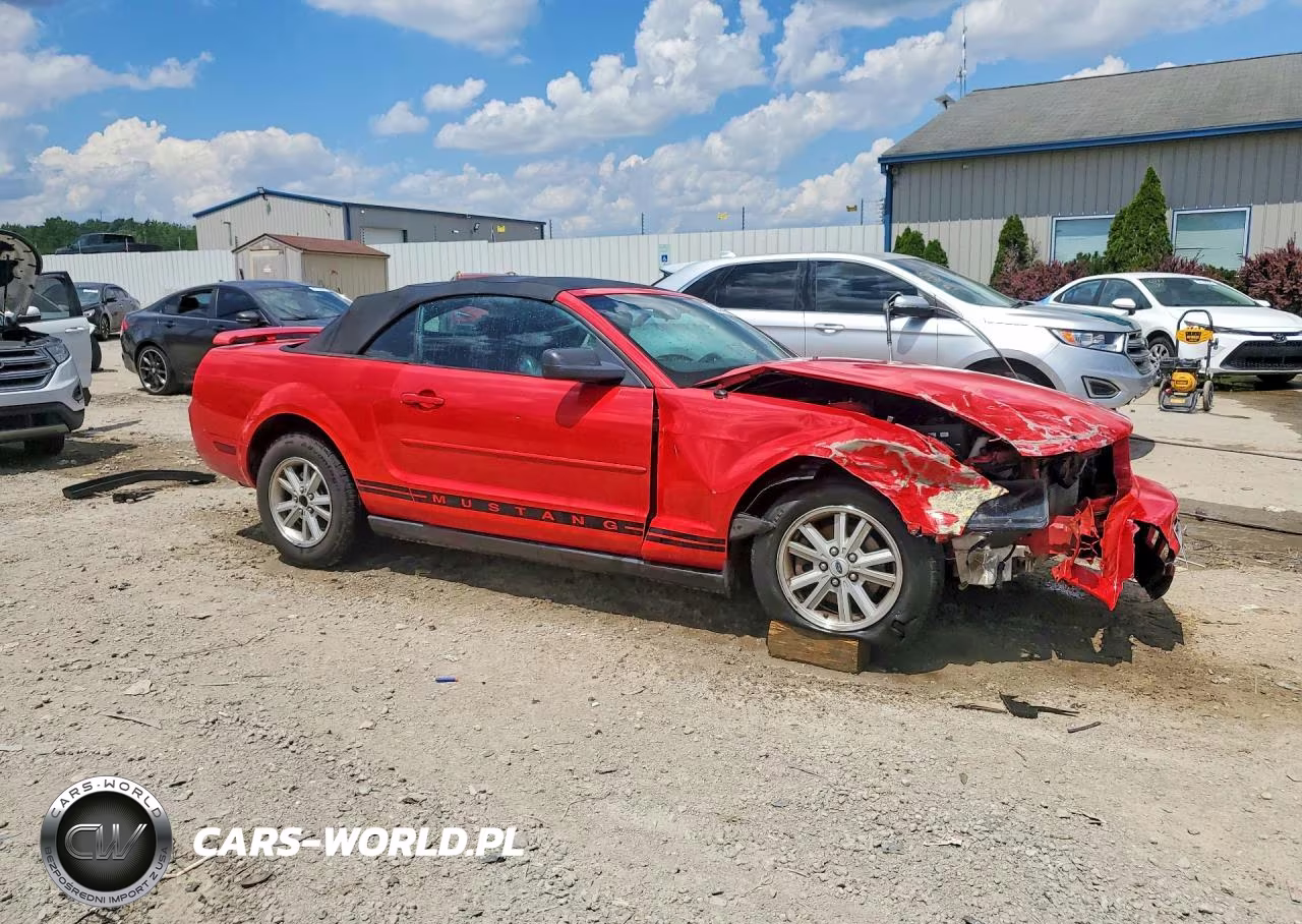 2006 Ford Mustang VIN:1ZVFT84N365224846 - 4