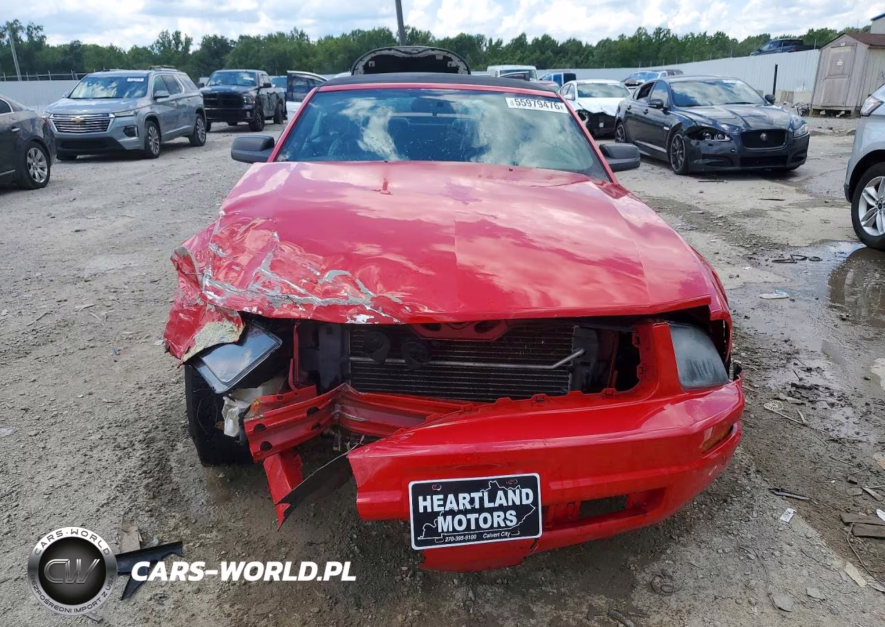 2006 Ford Mustang VIN:1ZVFT84N365224846 - 5