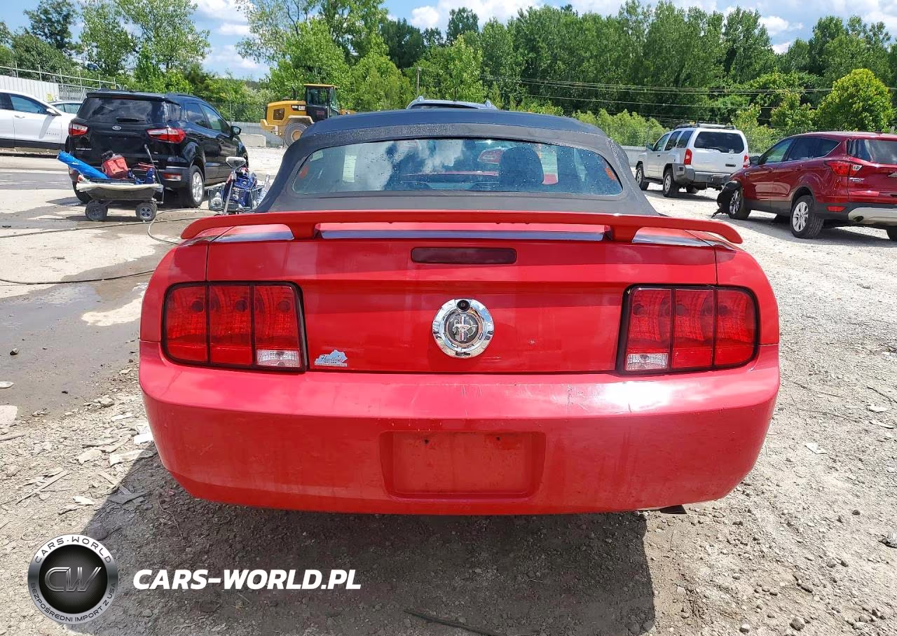 2006 Ford Mustang VIN:1ZVFT84N365224846 - 6