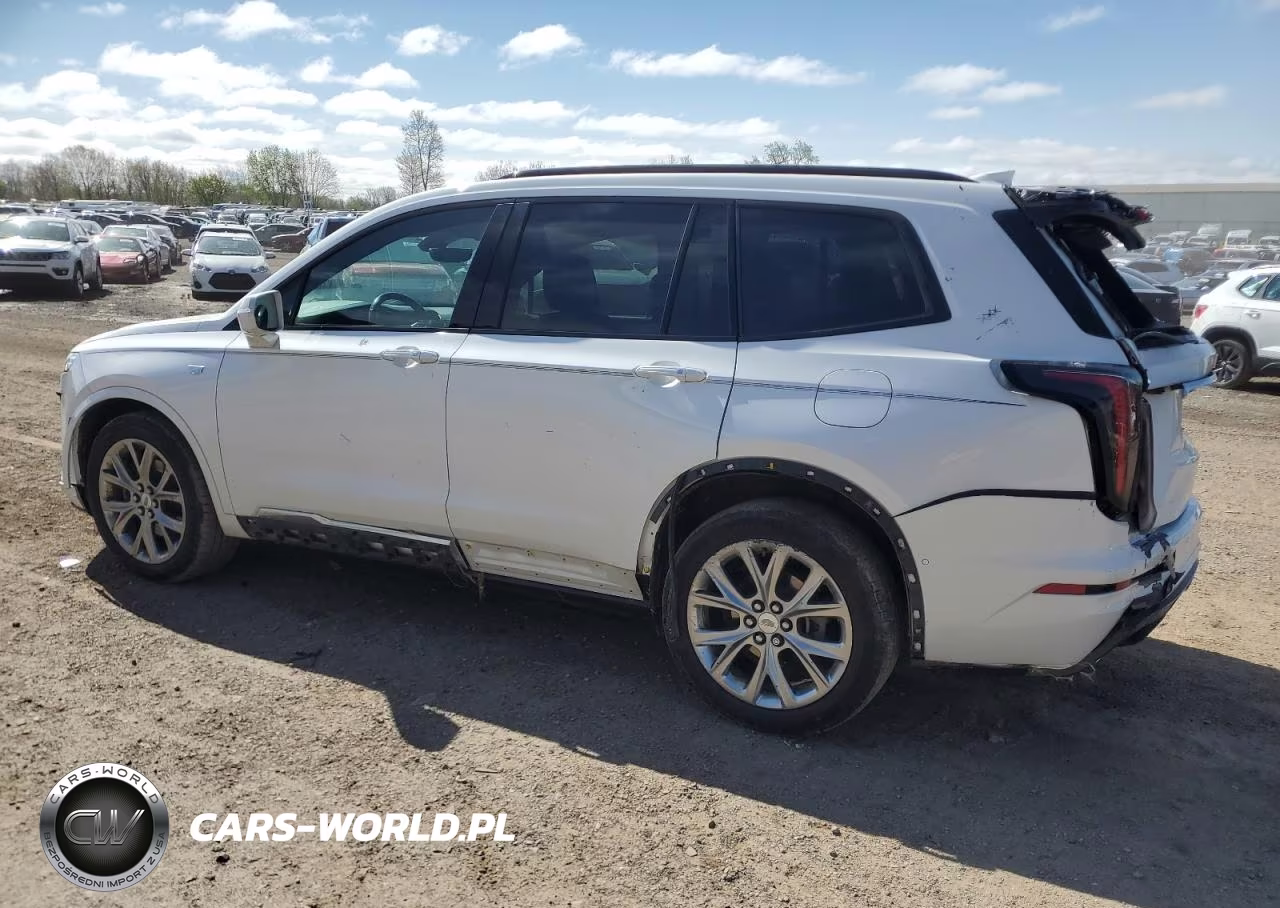 2020 Cadillac Xt6 Sport VIN:1GYKPHRS2LZ140309 - 2
