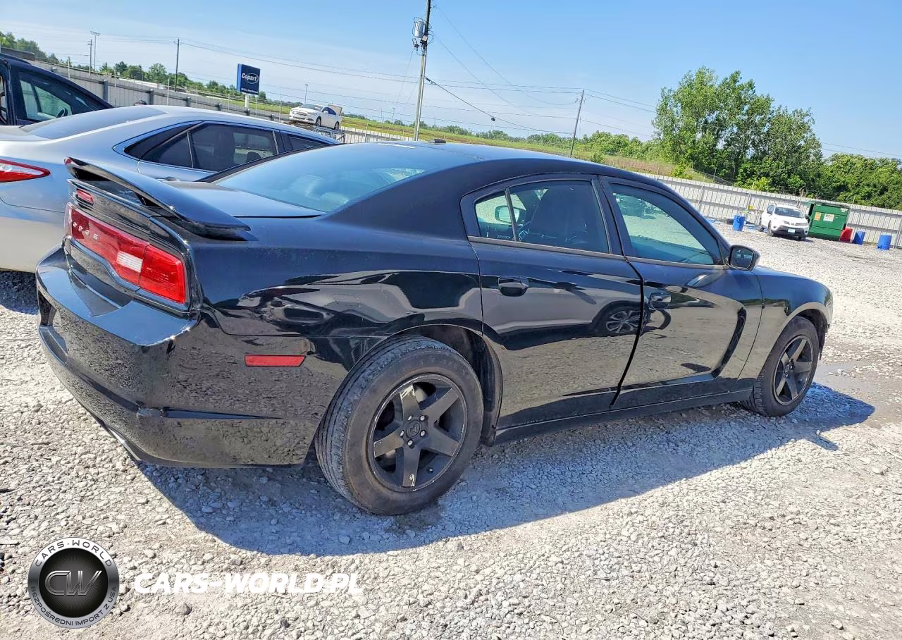 2013 Dodge Charger Sxt VIN:2C3CDXHGXDH550632 - 3