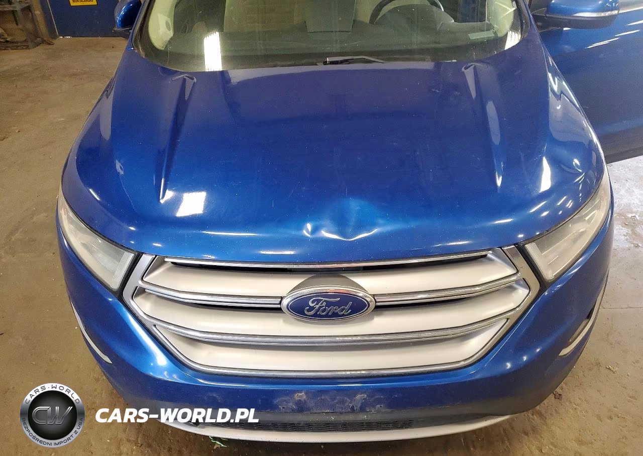 2018 Ford Edge Sel VIN:2FMPK4J96JBB68623 - 12