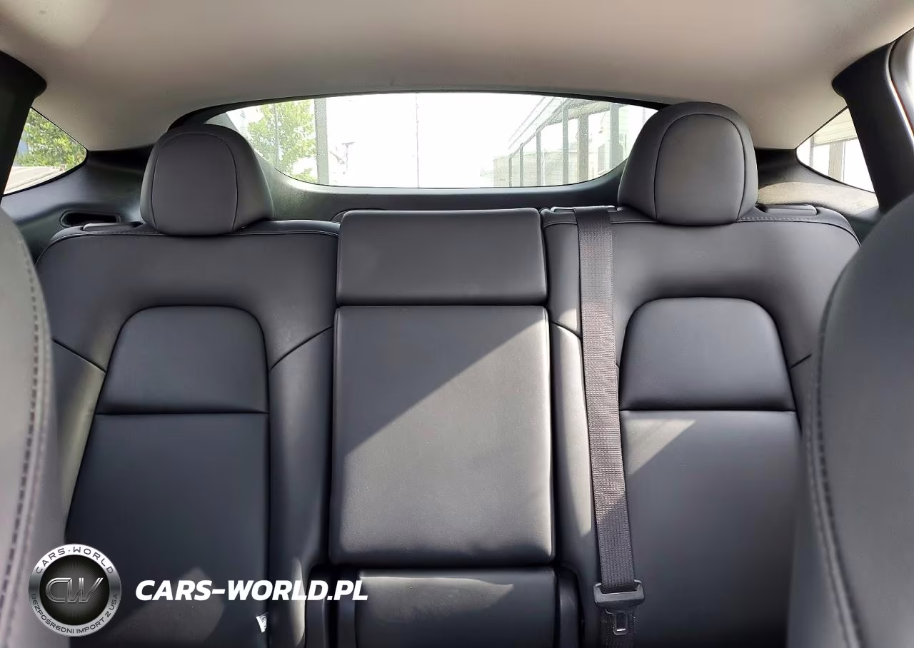 2024 Tesla Model Y VIN:7SAYGDEF8RA306025 - 10