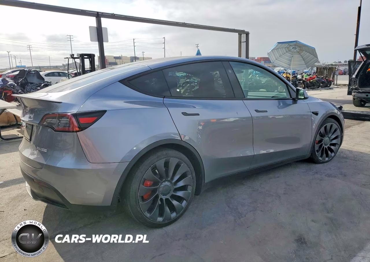 2024 Tesla Model Y VIN:7SAYGDEF8RA306025 - 3