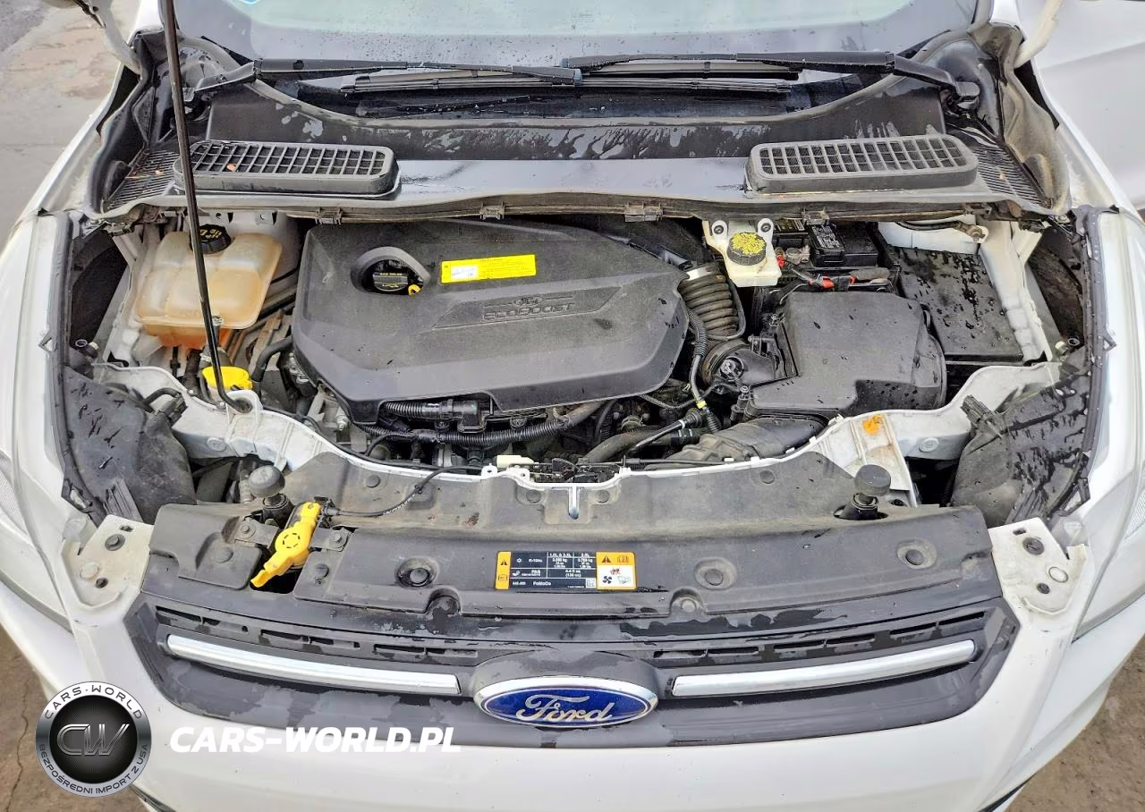 2016 Ford Escape Se VIN:1FMCU9GX8GUB59534 - 12