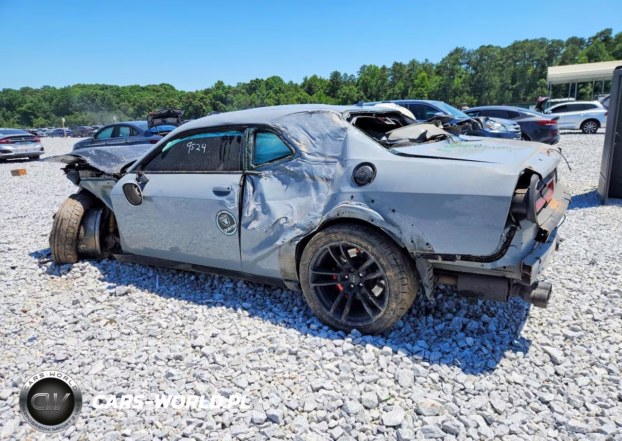 2022 Dodge Challenger Srt Hellcat VIN:2C3CDZC96NH179524 - 2