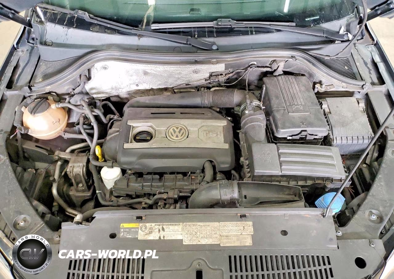 2015 Volkswagen Tiguan S VIN:WVGBV7AX5FW586596 - 12