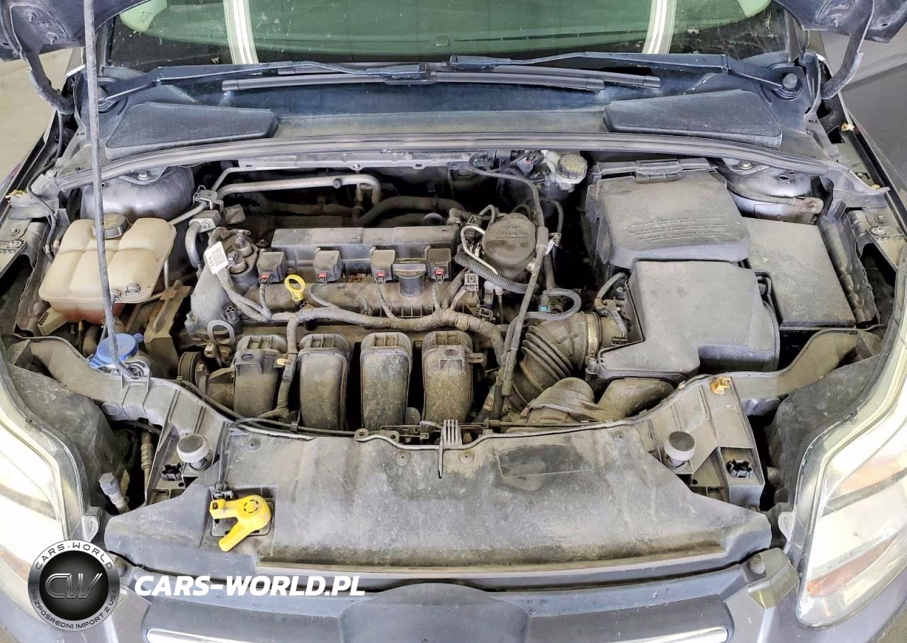 2014 Ford Focus Se VIN:1FADP3K29EL132618 - 11