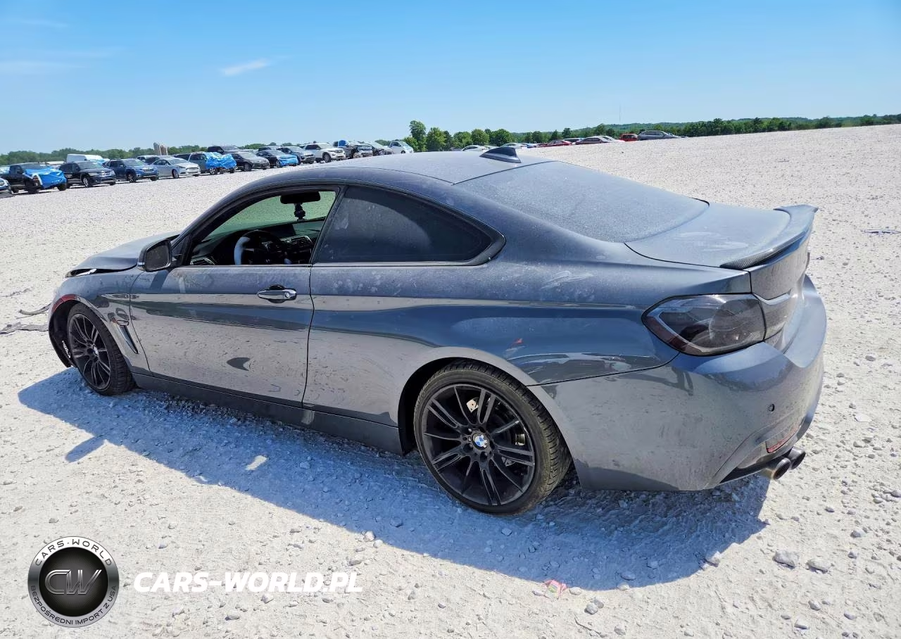2018 BMW 430Xi VIN:WBA4W5C5XJAA72954 - 2