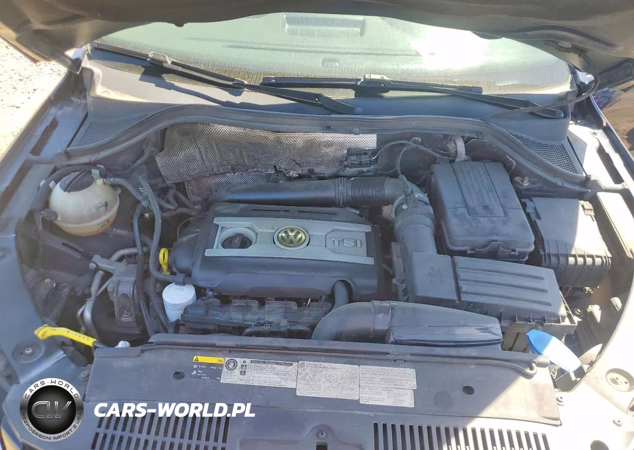2015 Volkswagen Tiguan S VIN:WVGBV7AX8FW542415 - 12