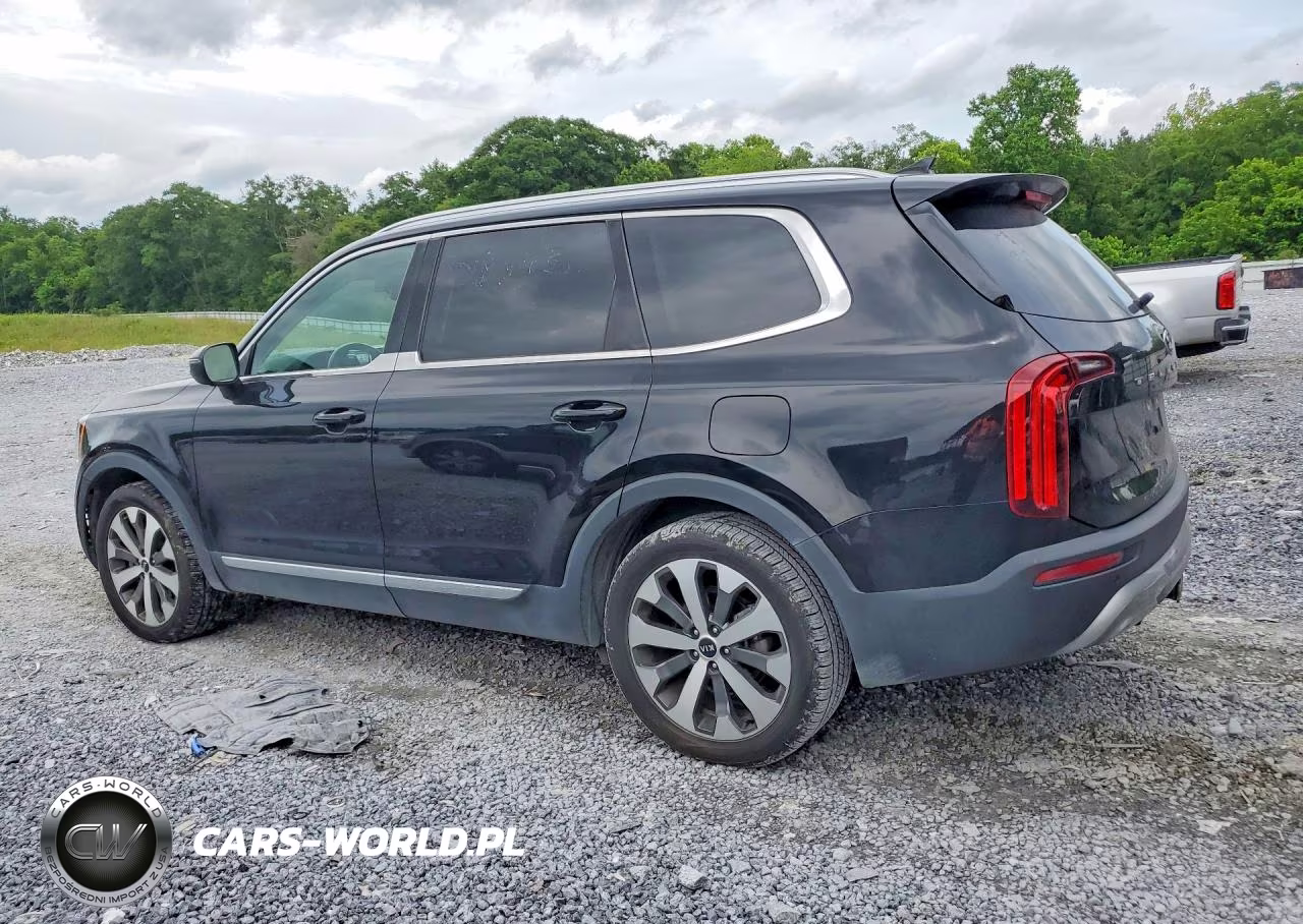 2021 Kia Telluride Ex VIN:5XYP34HC7MG153650 - 2