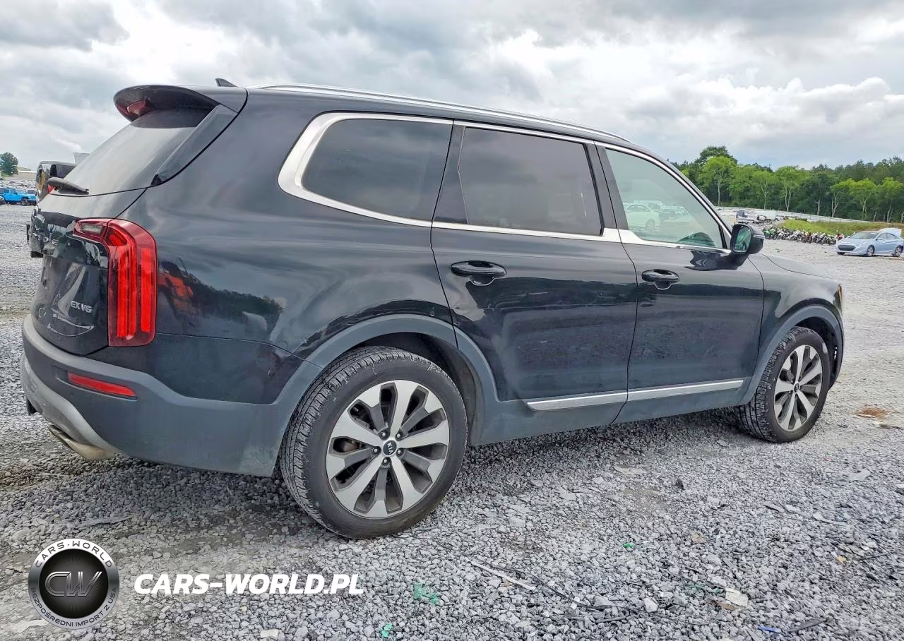 2021 Kia Telluride Ex VIN:5XYP34HC7MG153650 - 3