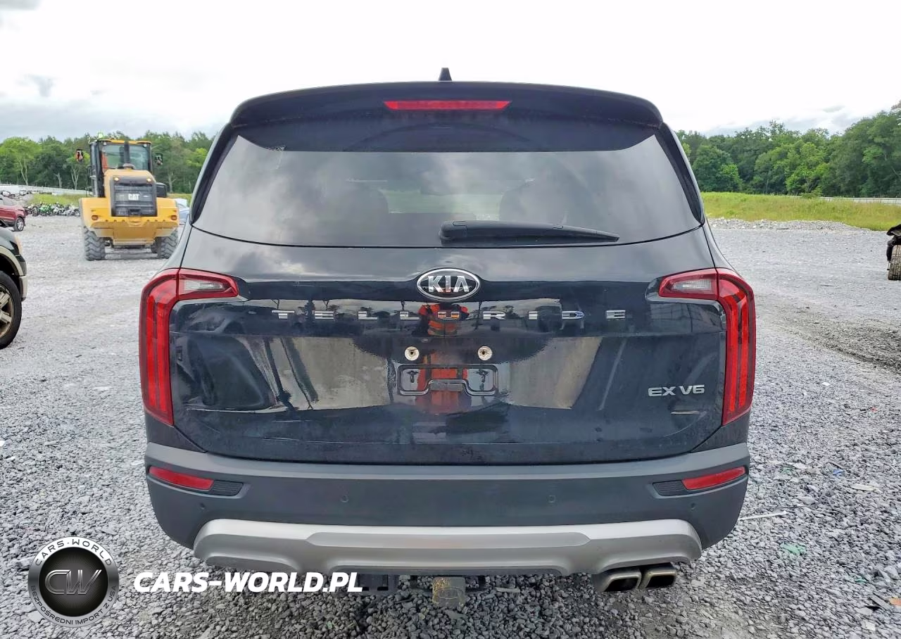 2021 Kia Telluride Ex VIN:5XYP34HC7MG153650 - 6