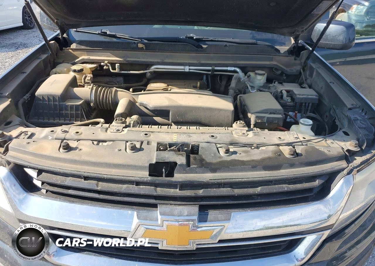 2017 Chevrolet Colorado Lt VIN:1GCGSCEA1H1215159 - 11